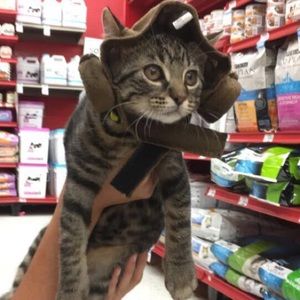 Meet your Posher, Mary